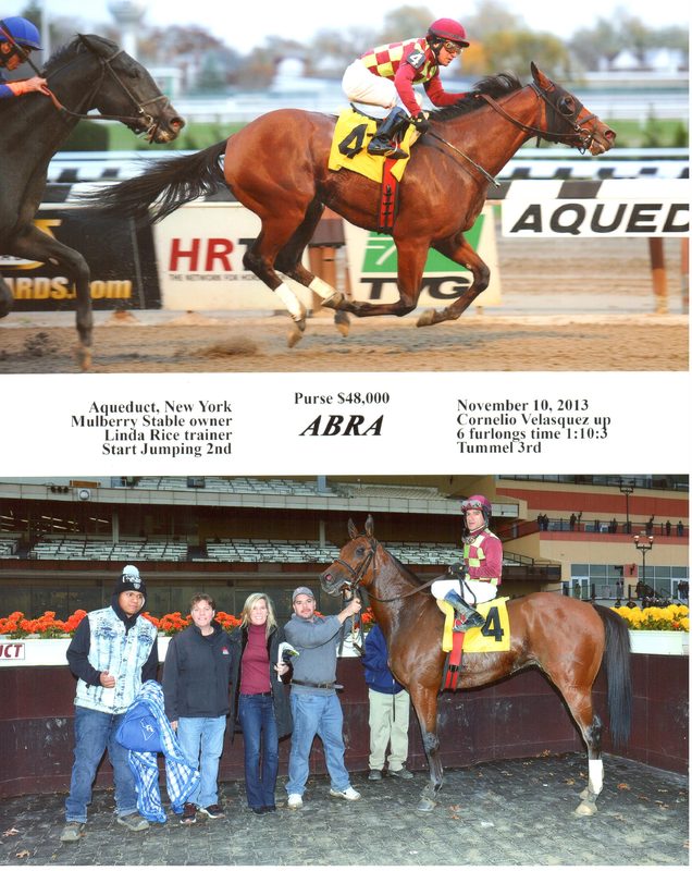 Abra — 11/10/13