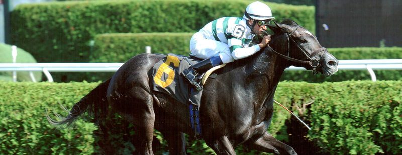 A P Johnson Wins at Saratoga on August 30, 2013