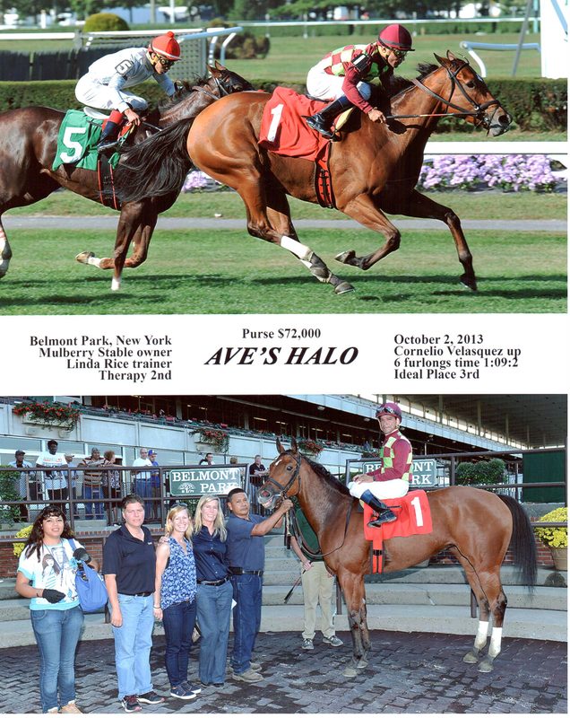 Aves Halo — 10/2/13