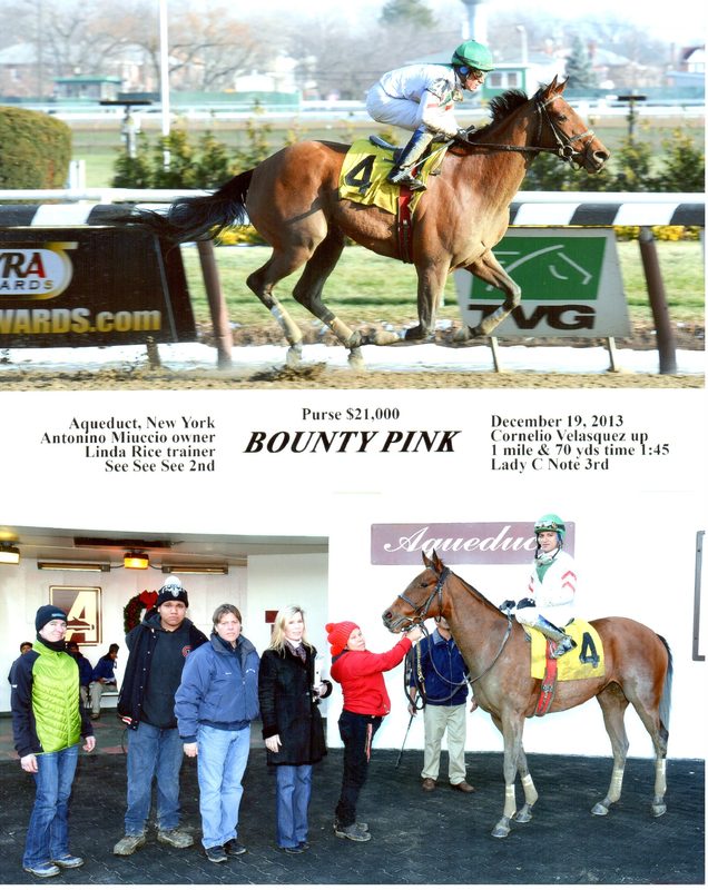 Bounty Pink — 12/19/13