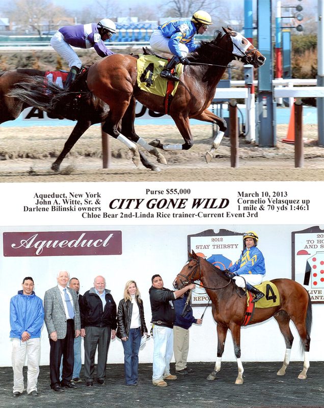 City Gone Wild — 3/10/13