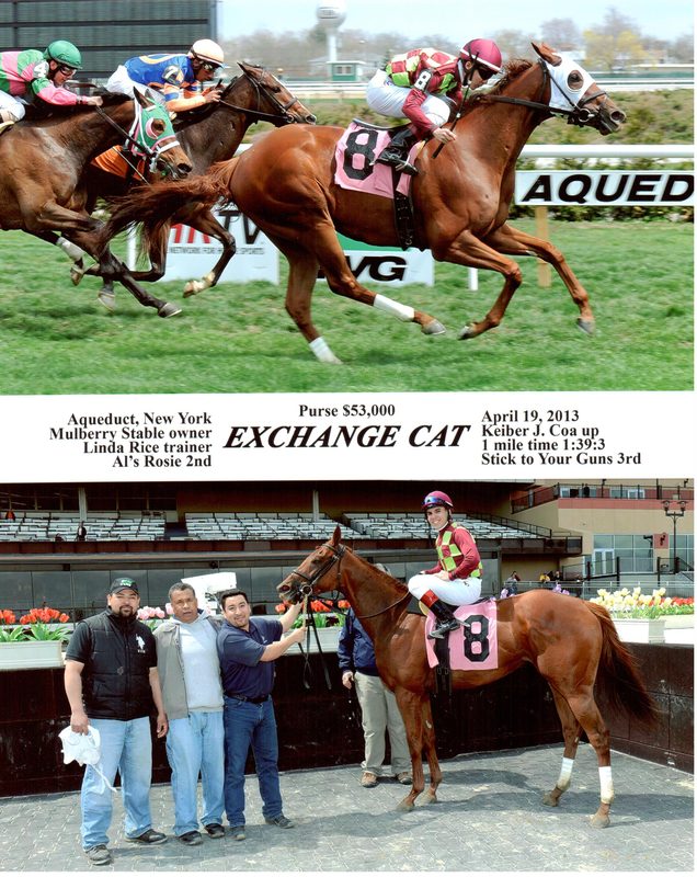 Exchange Cat — 4/19/13