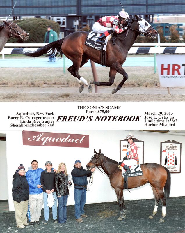 Freuds Notebook — 3/20/13