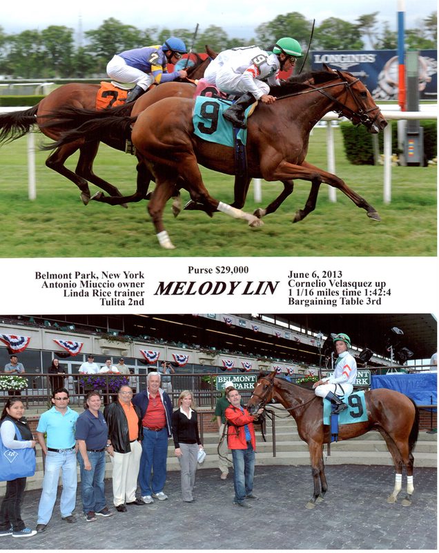 Melody Lin — 6/6/13