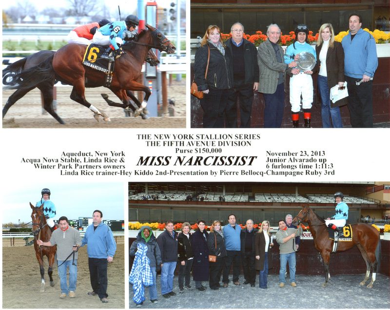 Miss Narcissist — 11/23/131