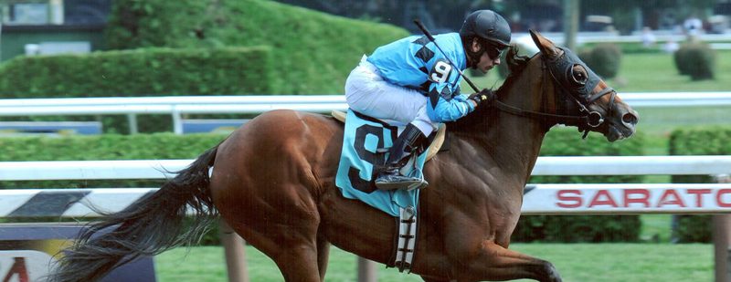Miss Narcissist Wins at Saratoga on August 28, 2013
