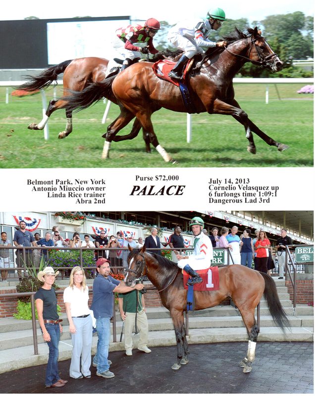 Palace — 7/14/13
