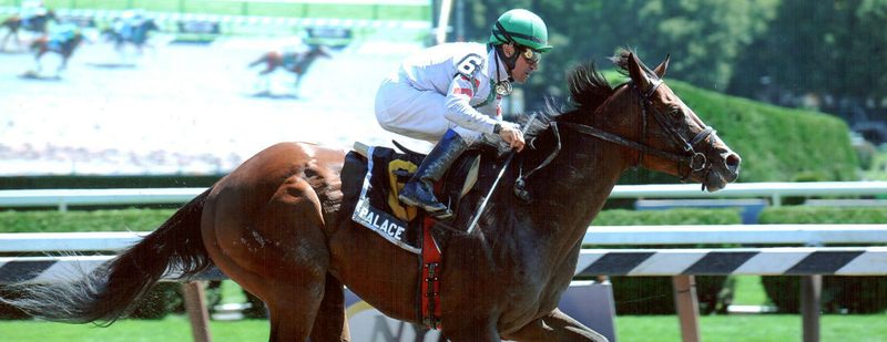 Palace Wins at Saratoga on August 23, 2013
