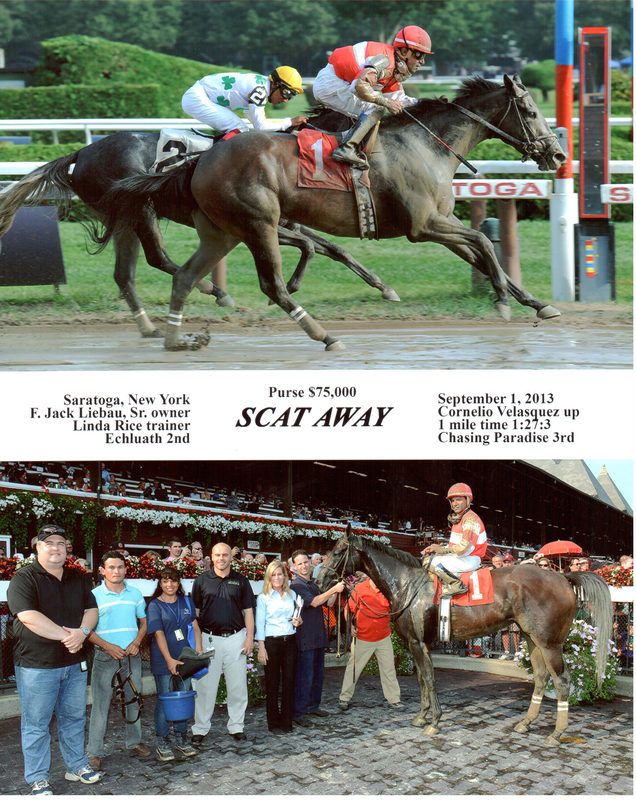 Scat Away — 9/1/13
