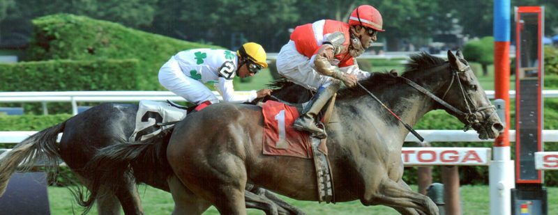 Scat Away Wins at Saratoga on September 1, 2013
