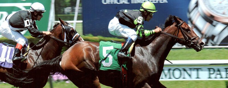Sky Lover Wins at Belmont Park on June 23, 2013