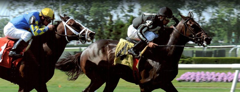 ALE Wins at Belmont Park on June 21, 2013