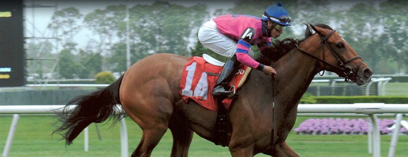 Justoneatheguys Wins at Belmont Park on May 23, 2013