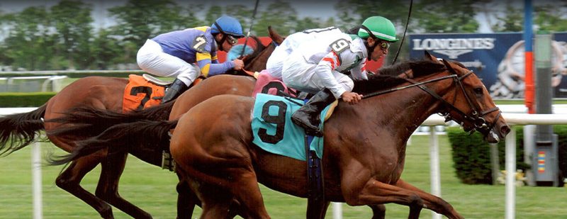 Melody Lin Wins at Belmont Park on June 6, 2013
