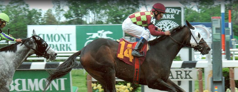 Terminus Wins at Belmont Park on May 25, 2013