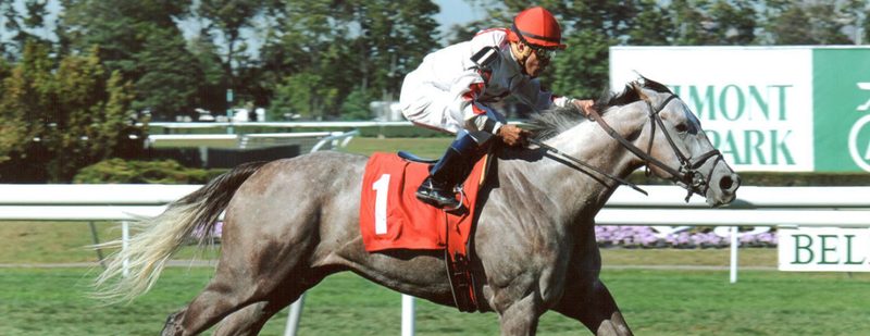 Double The Energy Wins at Belmont Park on September 19, 2013
