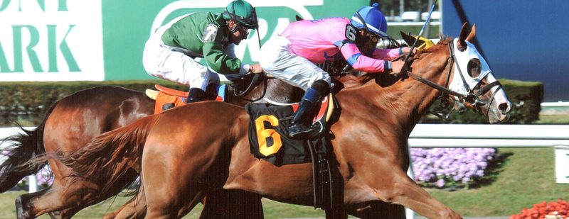 Summer Shiner Wins at Belmont Park on September 19, 2013