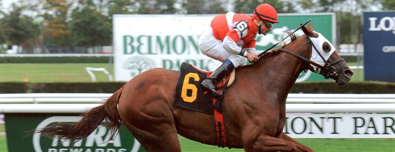 Going Going Gone Wins at Belmont Park on October 11, 2013