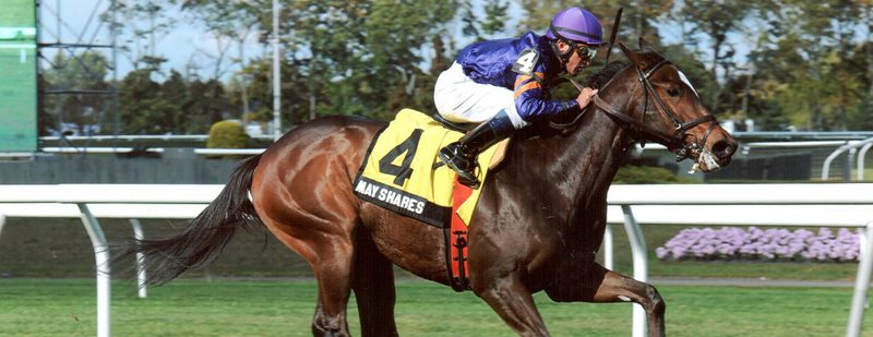May Shares Wins at Belmont Park on October 24, 2013