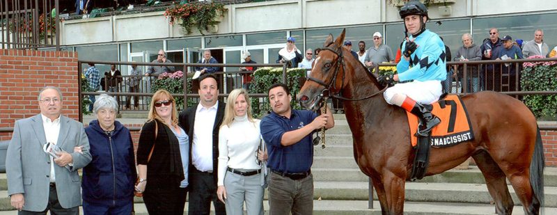 Miss Narcissist Wins at Belmont Park on October 19, 2013
