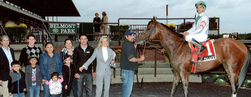 Palace Wins at Belmont Park on October 19, 2013