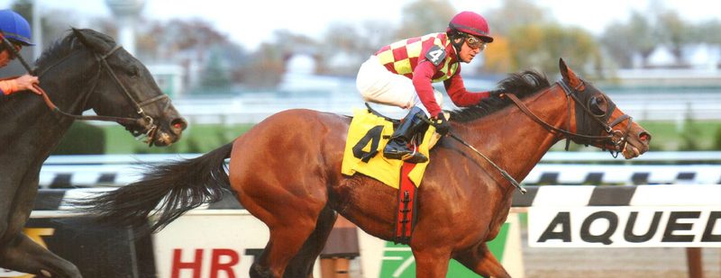 Abra Wins at Aqueduct on November 10, 2013