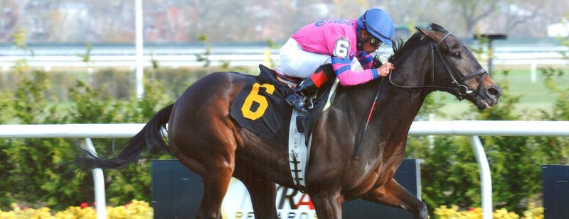 Loveisheartandsoul Wins at Aqueduct on November 15, 2013
