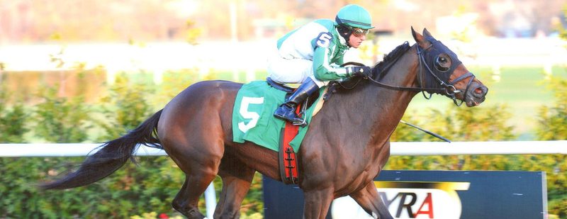 Mark My Way Wins at Aqueduct on November 10, 2013