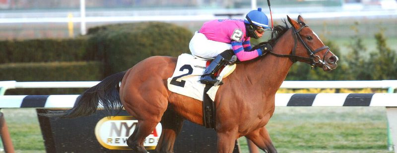 La Verdad Wins at Aqueduct on December 19, 2013