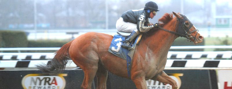 Quick Money Wins at Aqueduct on December 6, 2013