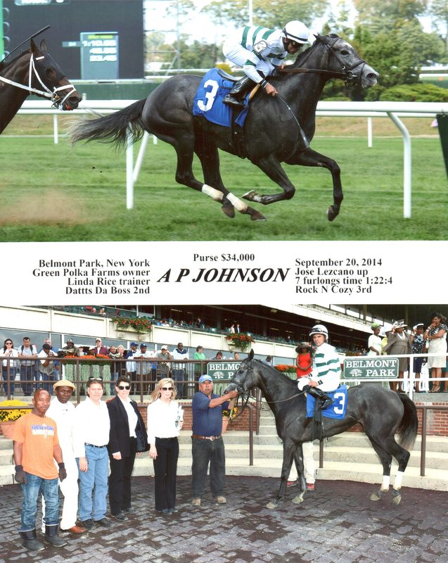 A P Johnson — 9/20/14
