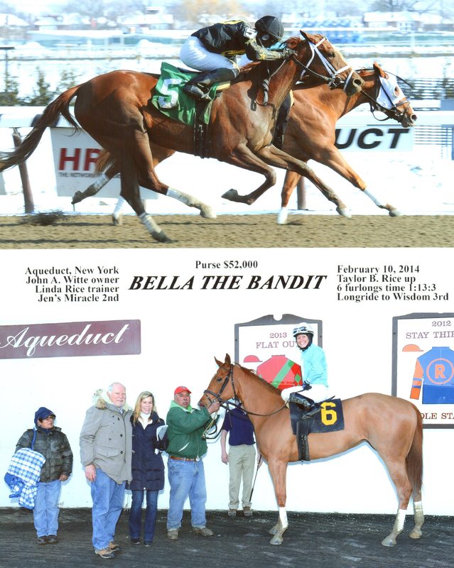 Bella The Bandit — 2/10/14
