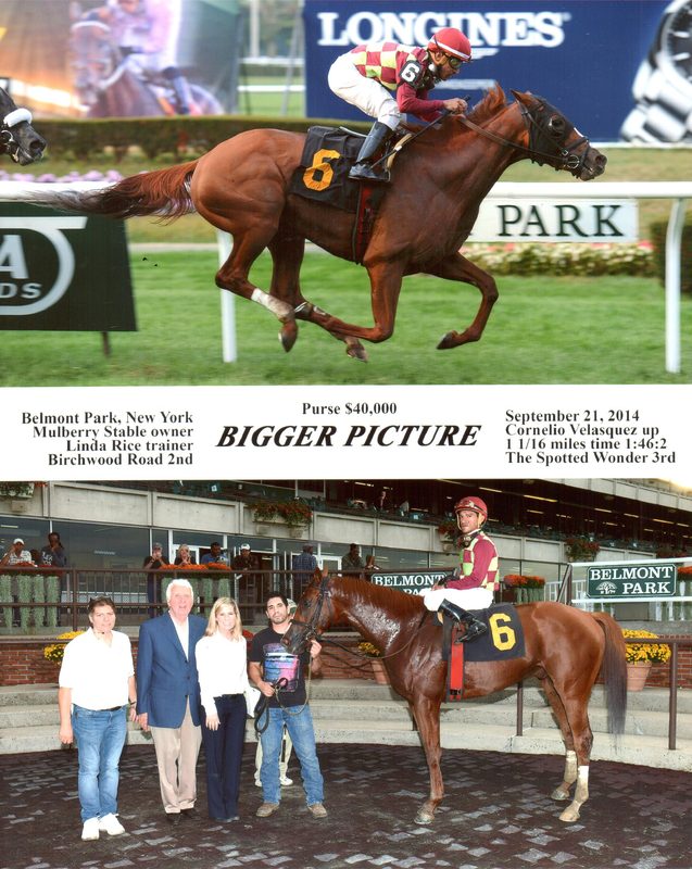 Bigger Picture — 9/21/14