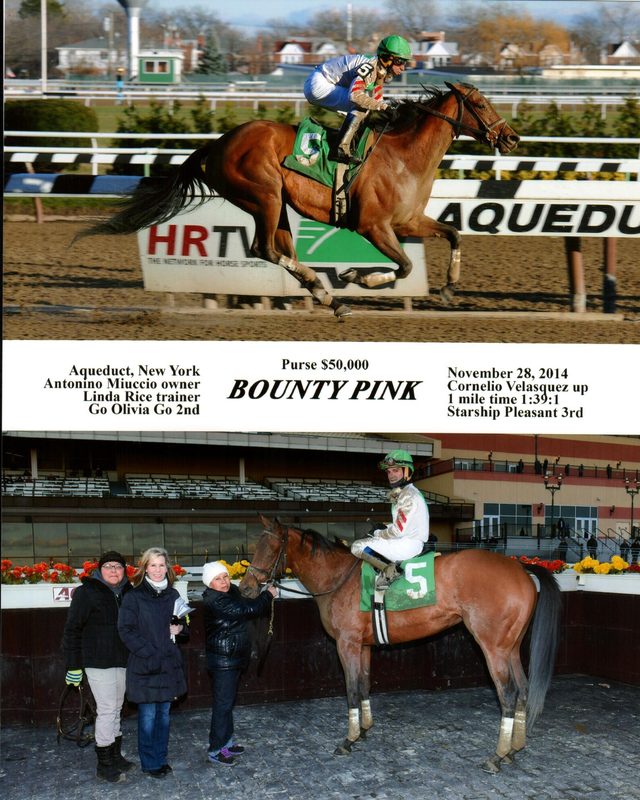 Bounty Pink — 11/28/14