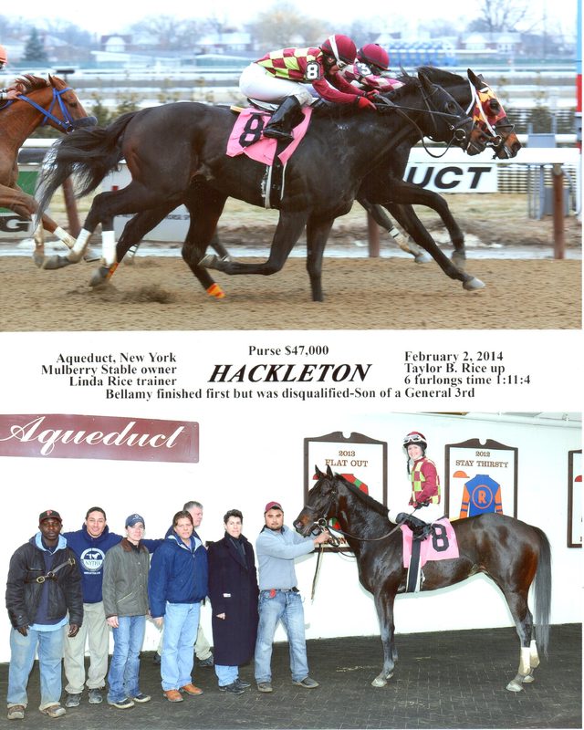 Hackleton — 2/2/14