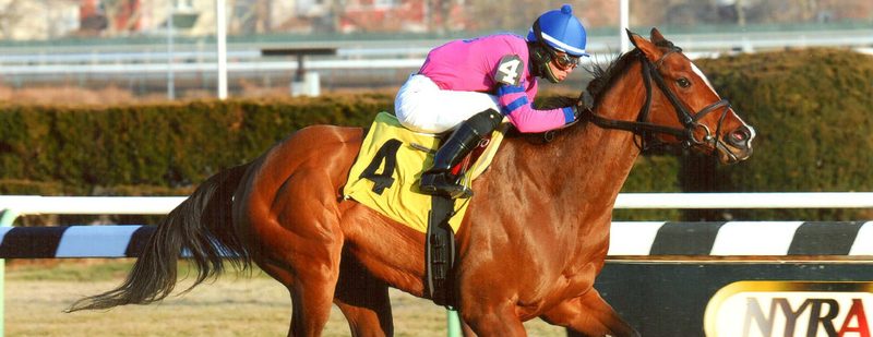 La Verdad Wins at Aqueduct on January 17, 2014