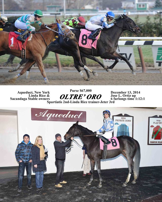 Oltre Oro — 12/13/14