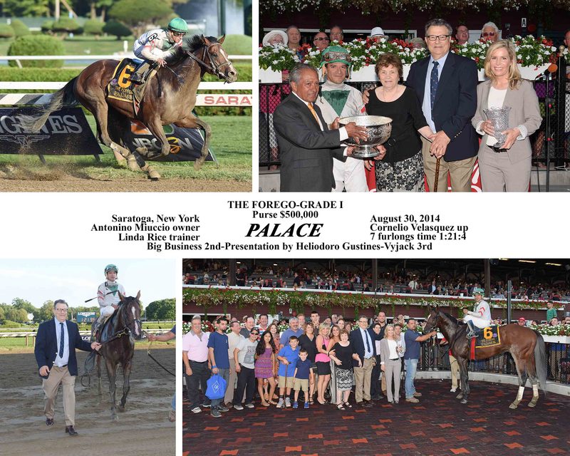 Palace — 8/30/14