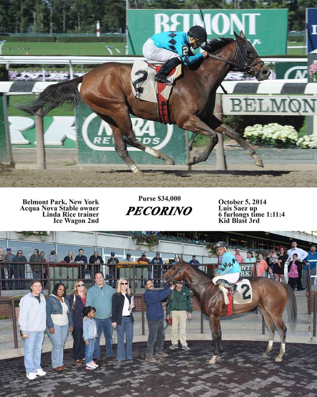 Pecorino — 10/5/14