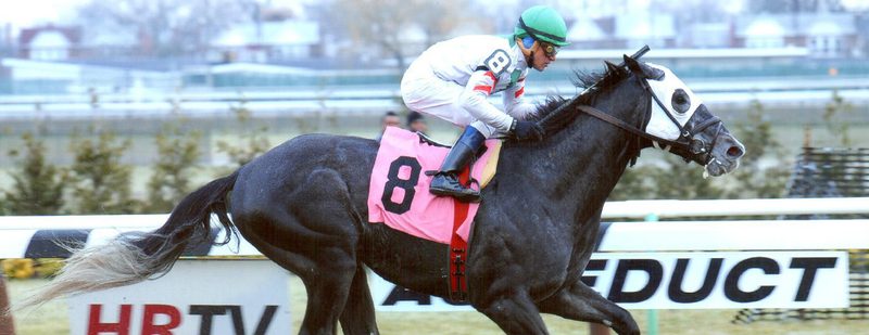 Risk Mangement Wins at Aqueduct on January 16, 2014