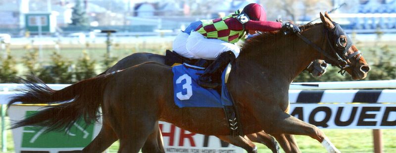 Won Great Classic Wins at Aqueduct on December 28, 2013