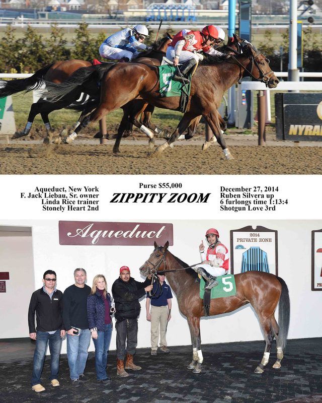Zippity Zoom — 12/27/14