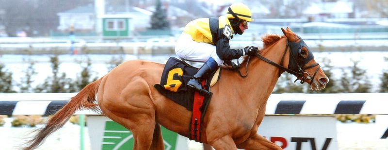 In Her Day Wins at Aqueduct on March 3, 2014