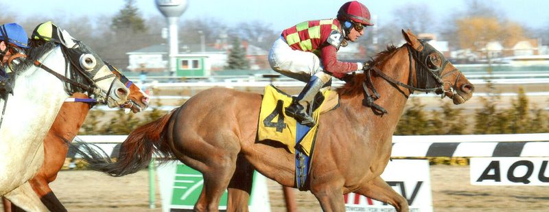 Won Great Classic Wins at Aqueduct on March 8, 2014