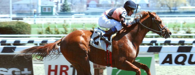Kick’n Butt Wins at Aqueduct on April 10, 2014