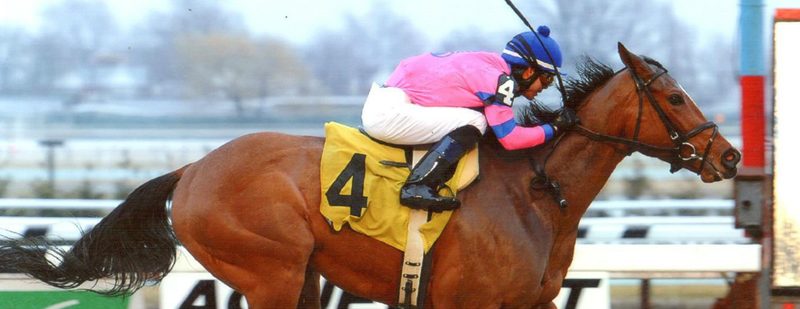 La Verdad Wins at Aqueduct on March 29, 2014