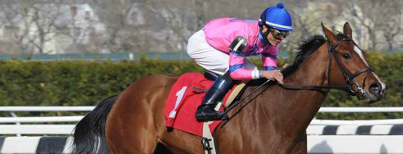 La Verdad Wins at Aqueduct on April 19, 2014