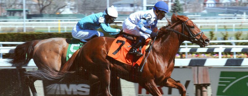 Lion Keen Wins at Aqueduct on April 6, 2014