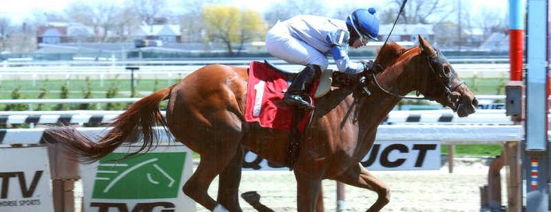 The Iron Furnace Wins at Aqueduct on April 24, 2014