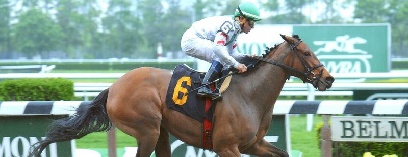 Bounty Pink Wins at Belmont Park on May 15, 2014